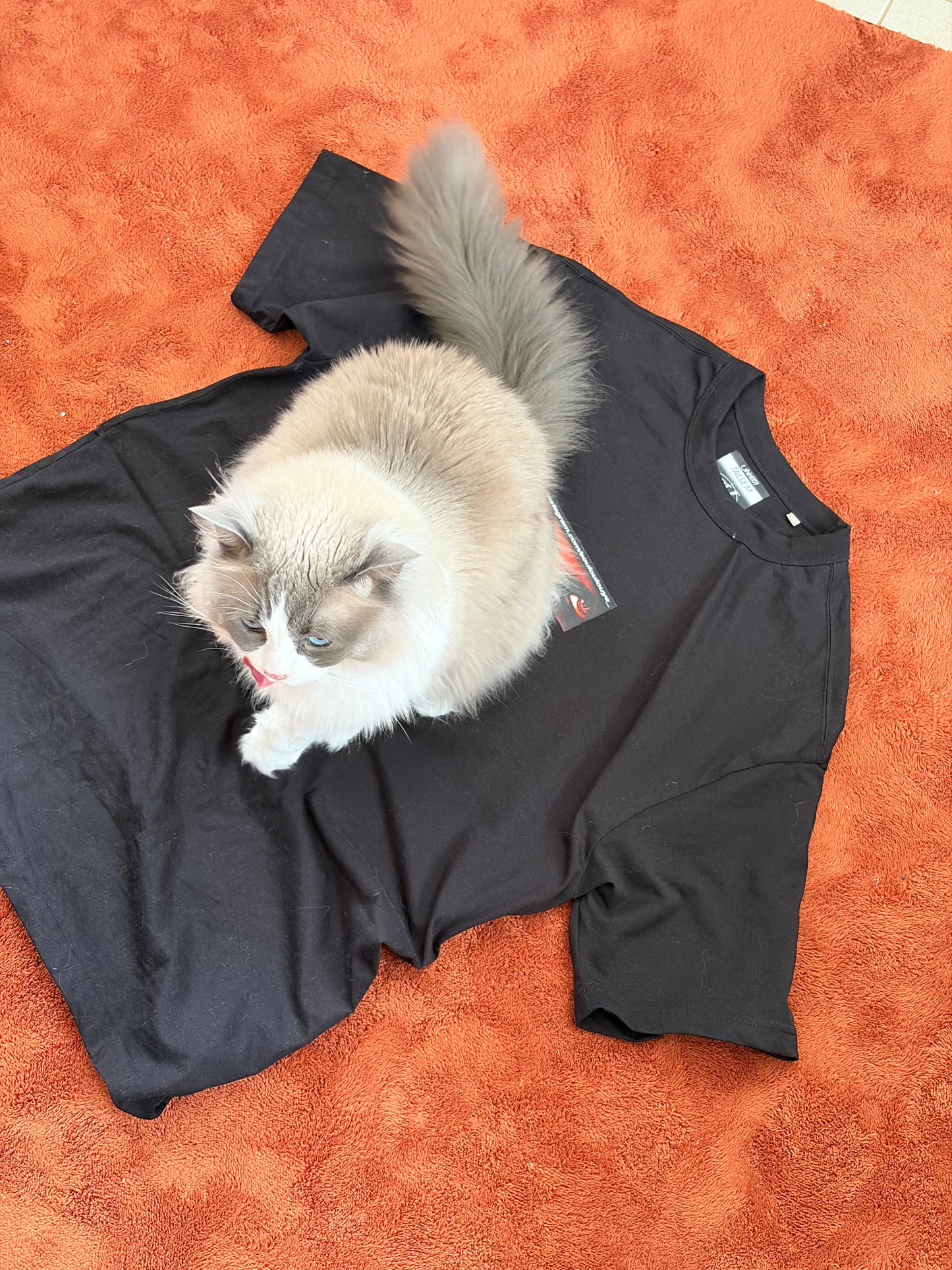 t_SHIRT001